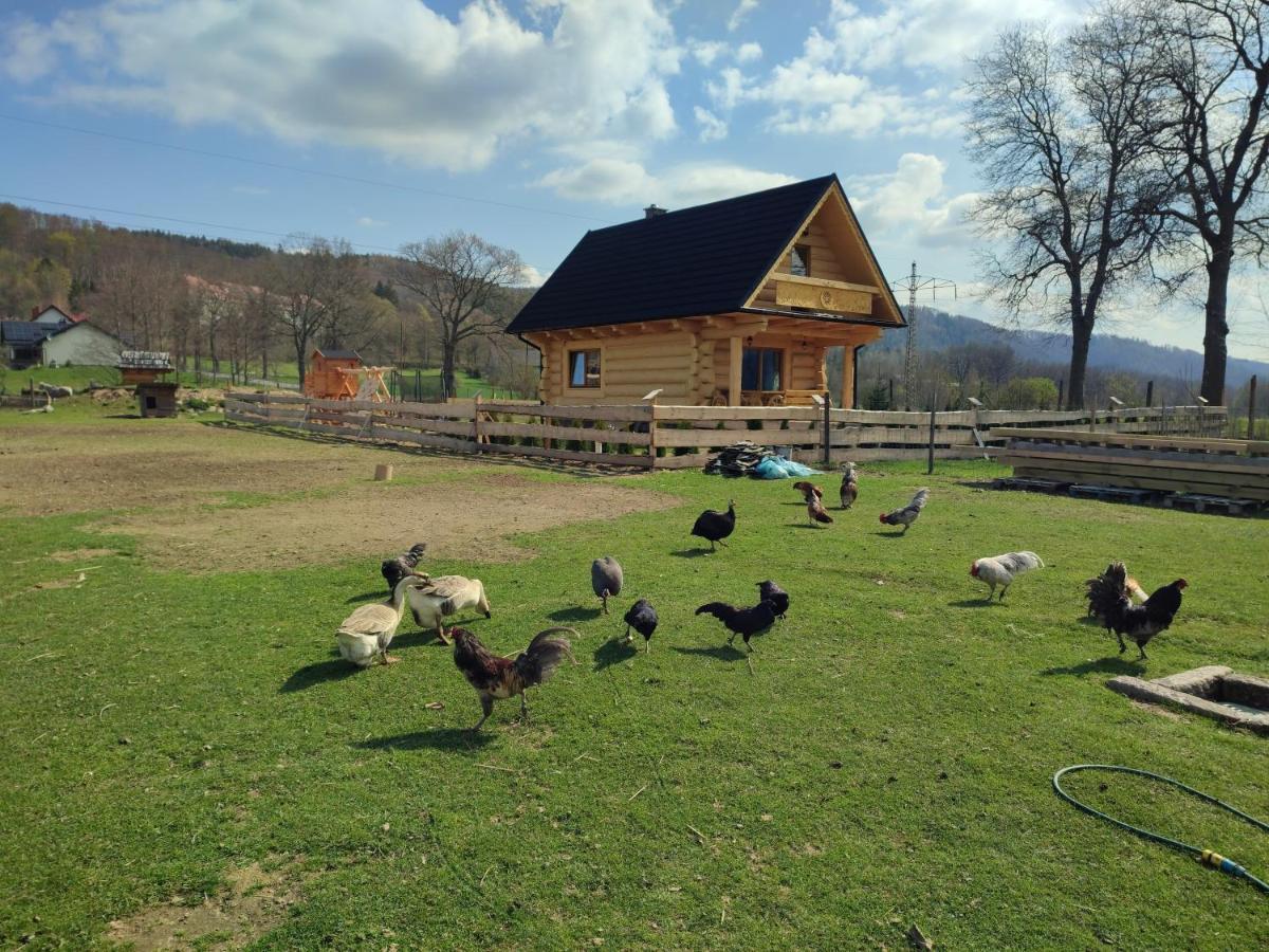 Sudecki Dym Z Kominkiem Kolo Karpacza. Agroturystyka ヤノビツェ・ビエルキエ エクステリア 写真