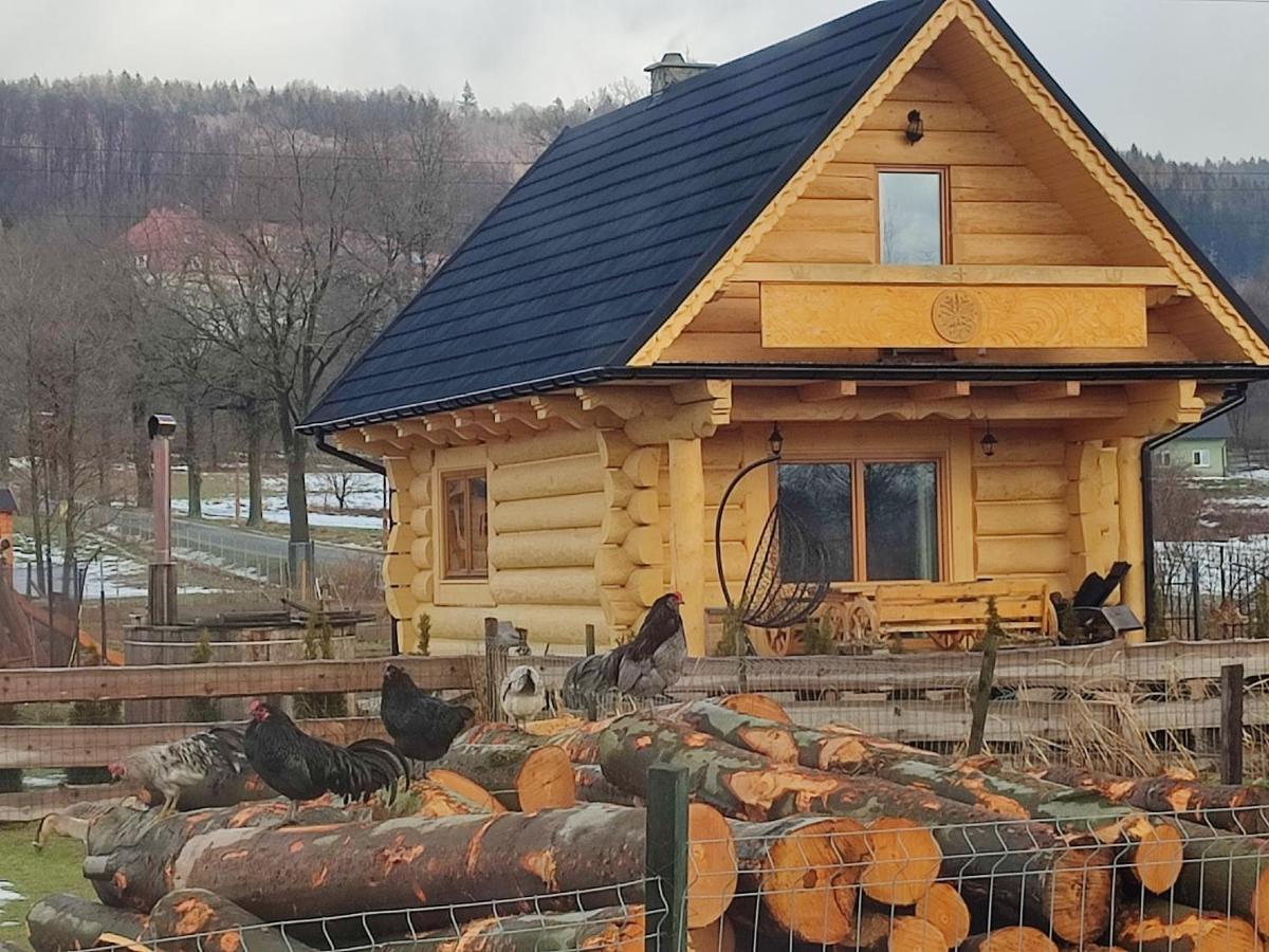 Sudecki Dym Z Kominkiem Kolo Karpacza. Agroturystyka ヤノビツェ・ビエルキエ エクステリア 写真