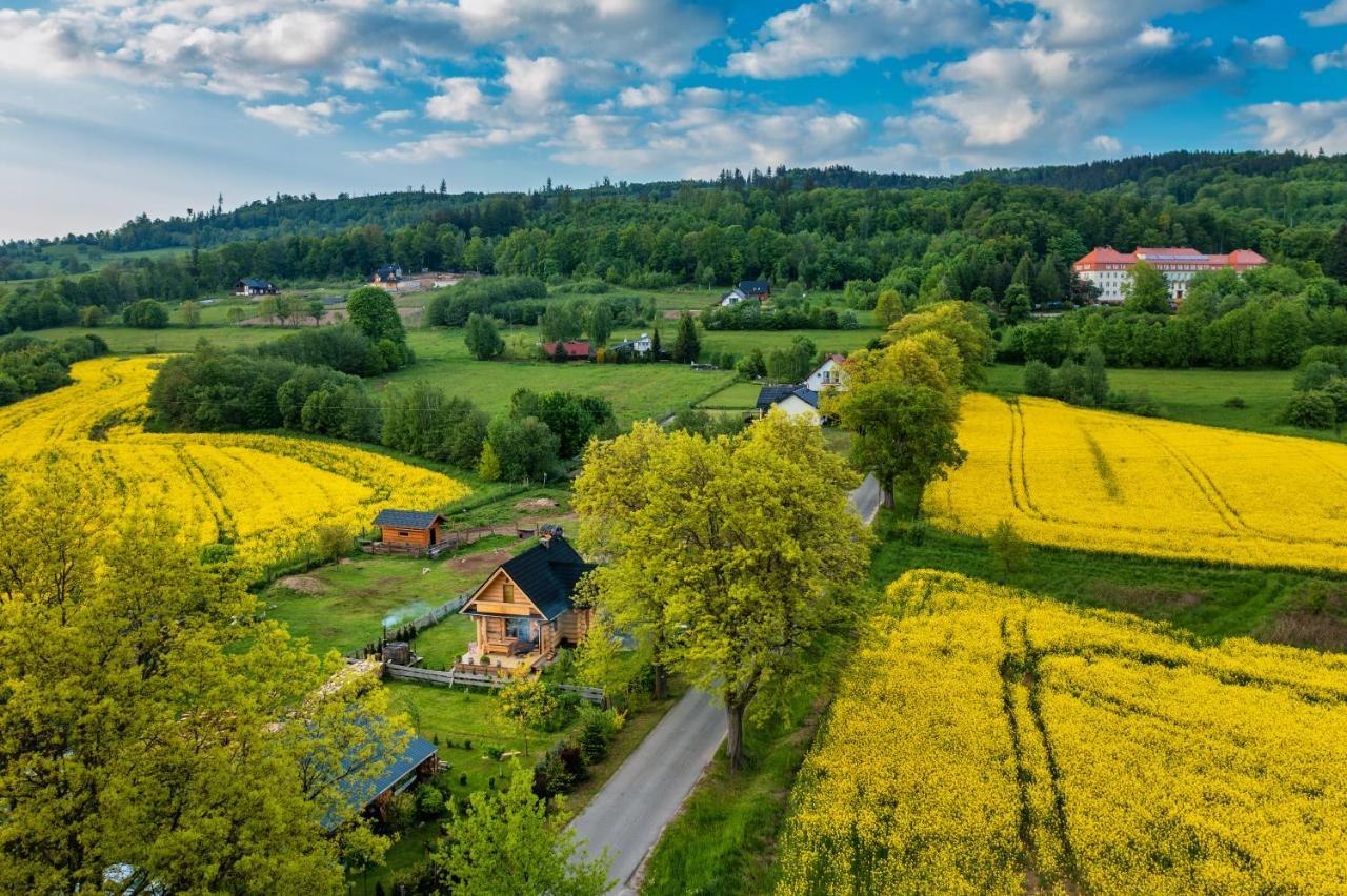 Sudecki Dym Z Kominkiem Kolo Karpacza. Agroturystyka ヤノビツェ・ビエルキエ エクステリア 写真