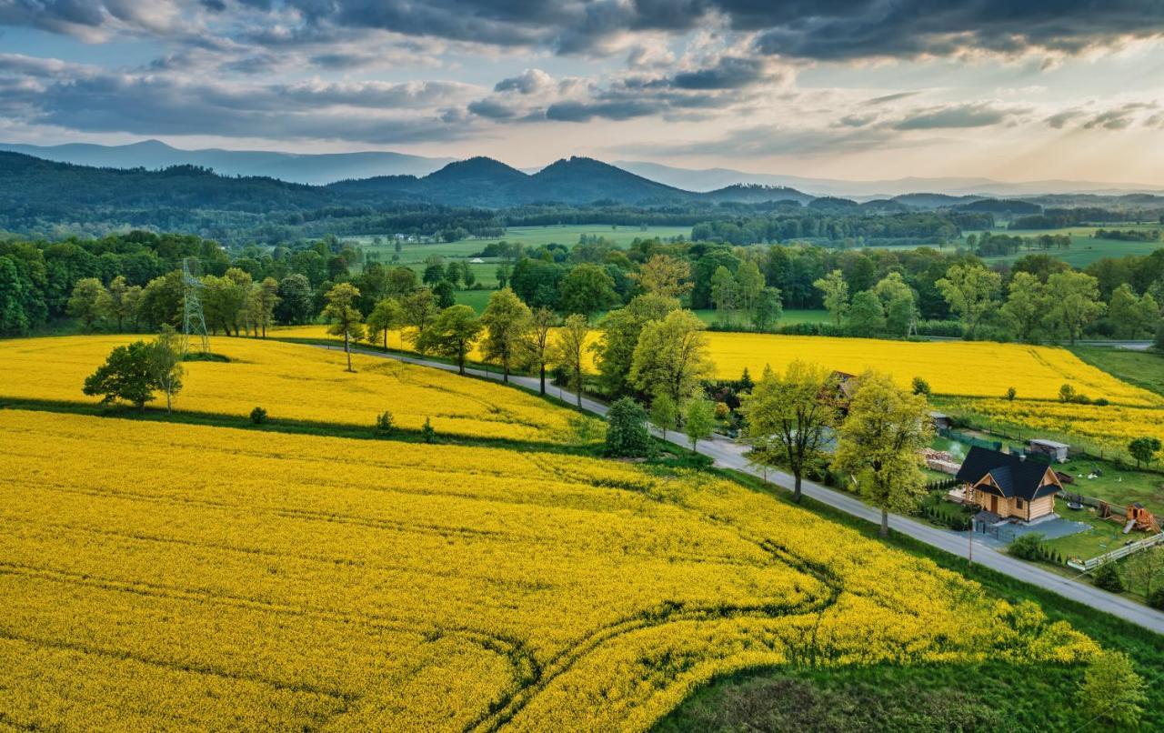 Sudecki Dym Z Kominkiem Kolo Karpacza. Agroturystyka ヤノビツェ・ビエルキエ エクステリア 写真